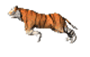 tg11.gif (6,184 bytes)