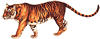 tg2.gif (8,982 bytes)