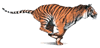 tg6.gif (11,296 bytes)