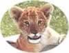 oc032.jpg (3,699 bytes)