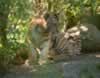 oc057.jpg (133,426 bytes)