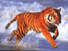 phts014.jpg (92,546 bytes)