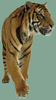 phts018.jpg (7,858 bytes)
