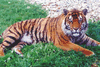 phts020.jpg (57,996 bytes)