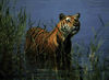 phts061.jpg (63,776 bytes)