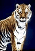 phts069.jpg (4,558 bytes)