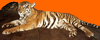 phts081.jpg (27,932 bytes)