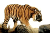 phts089.jpg (8,461 bytes)