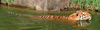 phts101.jpg (33,444 bytes)