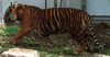 phts105.jpg (20,859 bytes)