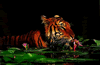 phts148.jpg (30,697 bytes)