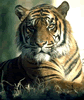 phts162.jpg (34,844 bytes)
