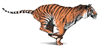 phts170.jpg (9,485 bytes)