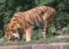 phts2_089.jpg (119,658 bytes)